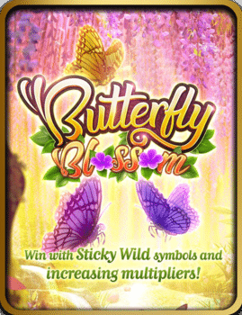 butterfly blos som